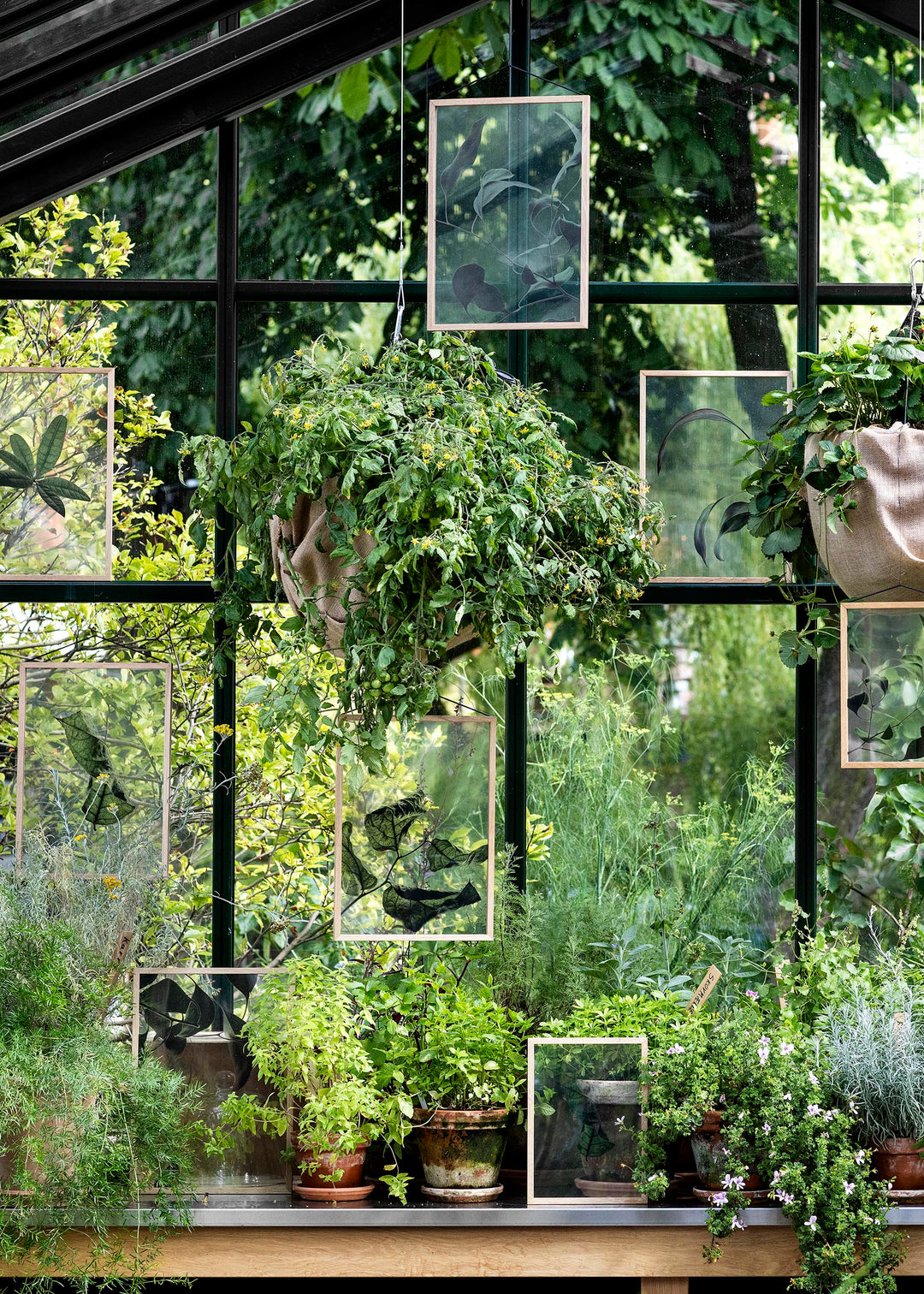 FLOATING LEAVES - transparent poster | Moebe