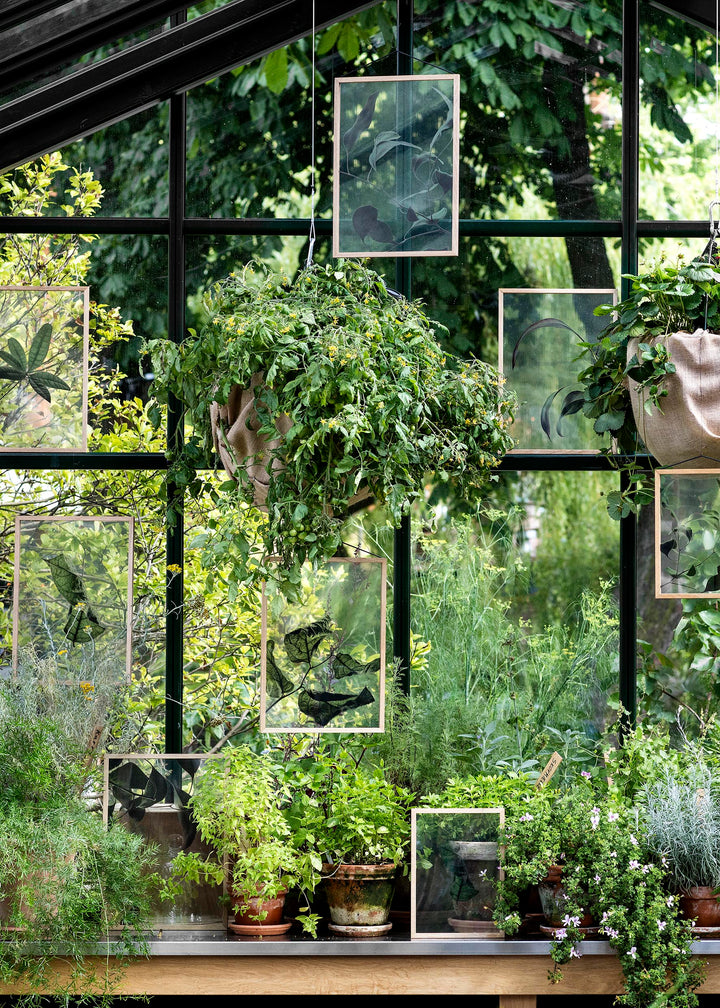 FLOATING LEAVES - transparent poster | Moebe