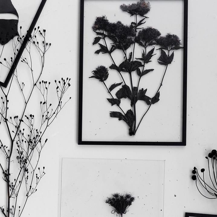 Aluminium frame - FRAME BLACK | Moebe