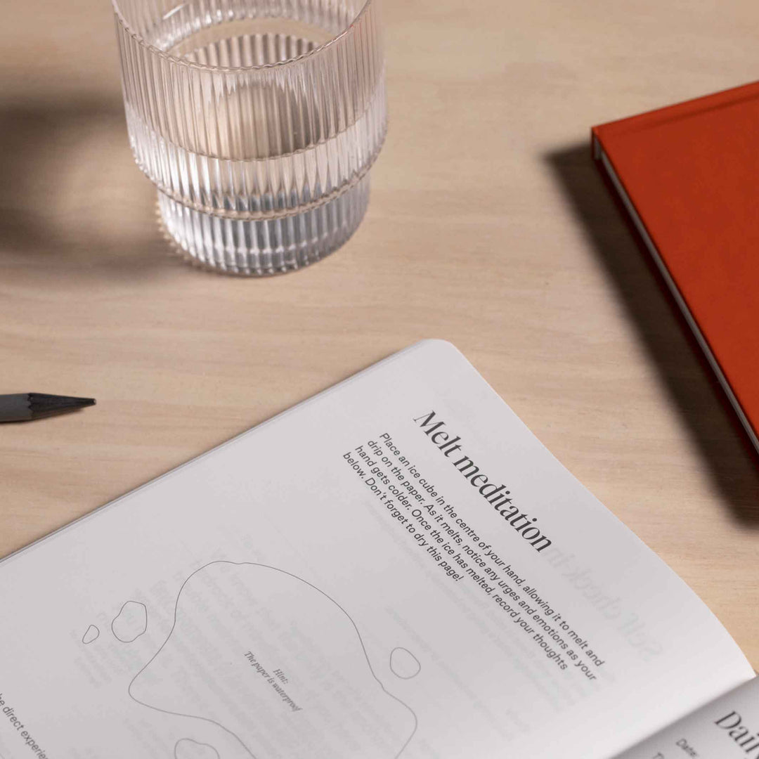 PRAXIS METHOD™️ - 3 englische Tagebücher - Mindfulness, Gratitude & Habits | KarstGoods