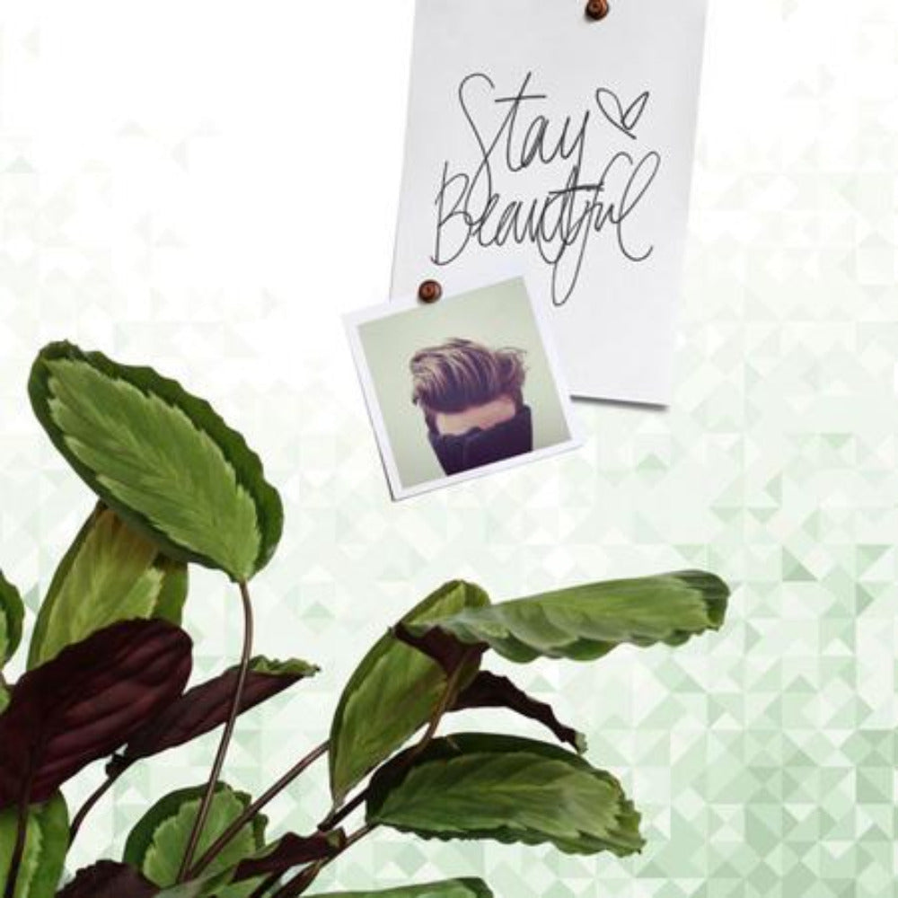 GEO - magnetic wallpaper - green | Groovy Magnets