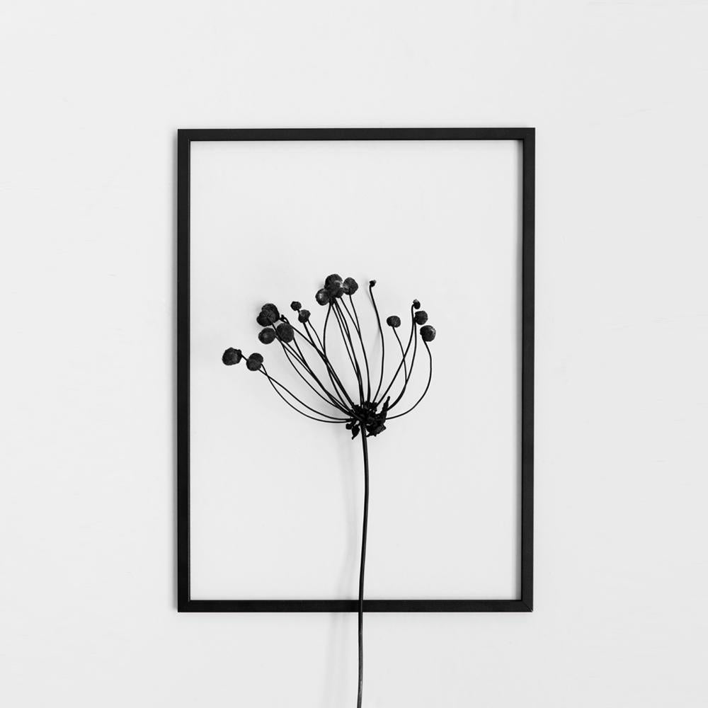 FRAME BLACK - Bilderrahmen - Aluminium | Moebe