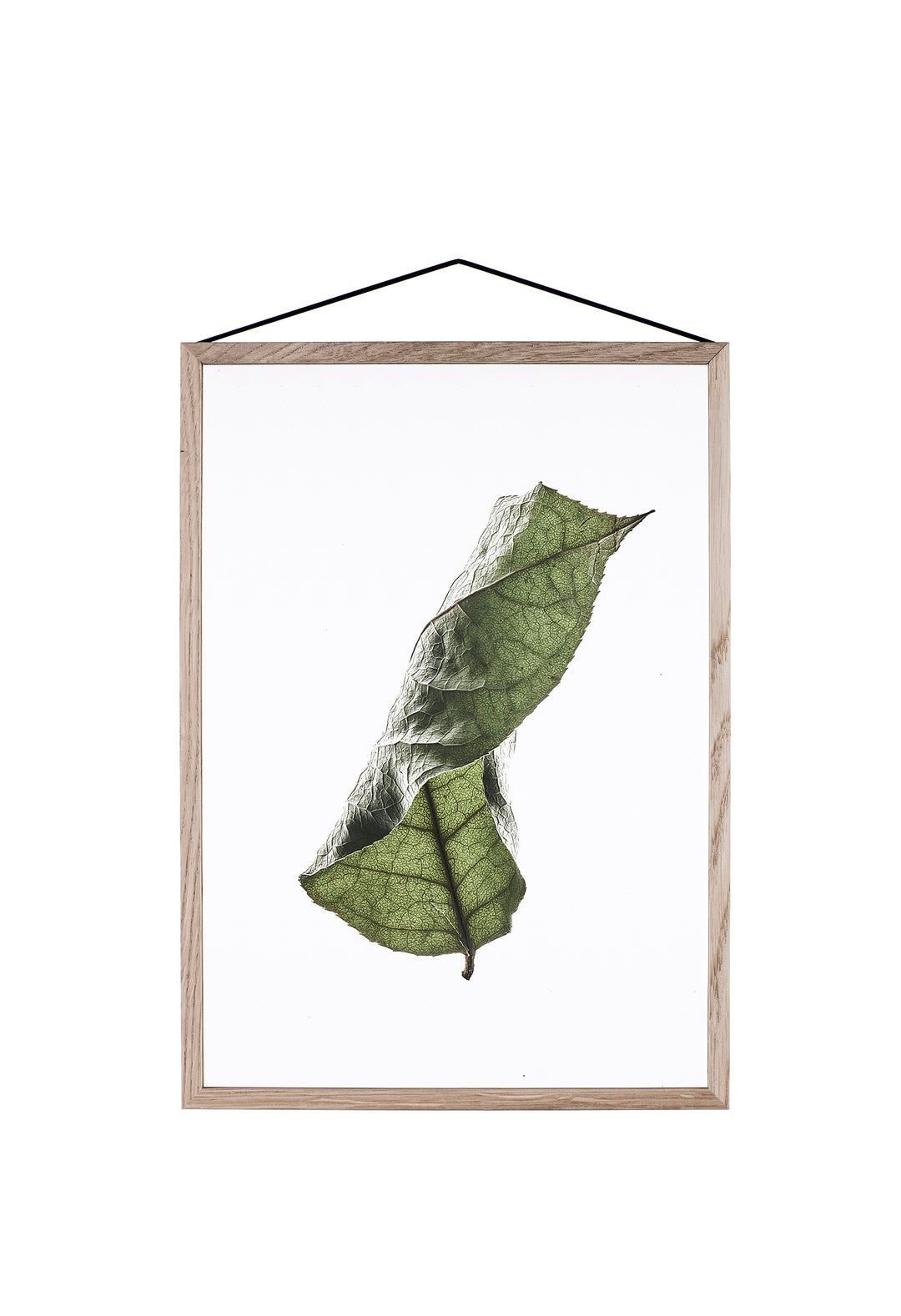 FLOATING LEAVES - durchsichtiges Poster | Moebe