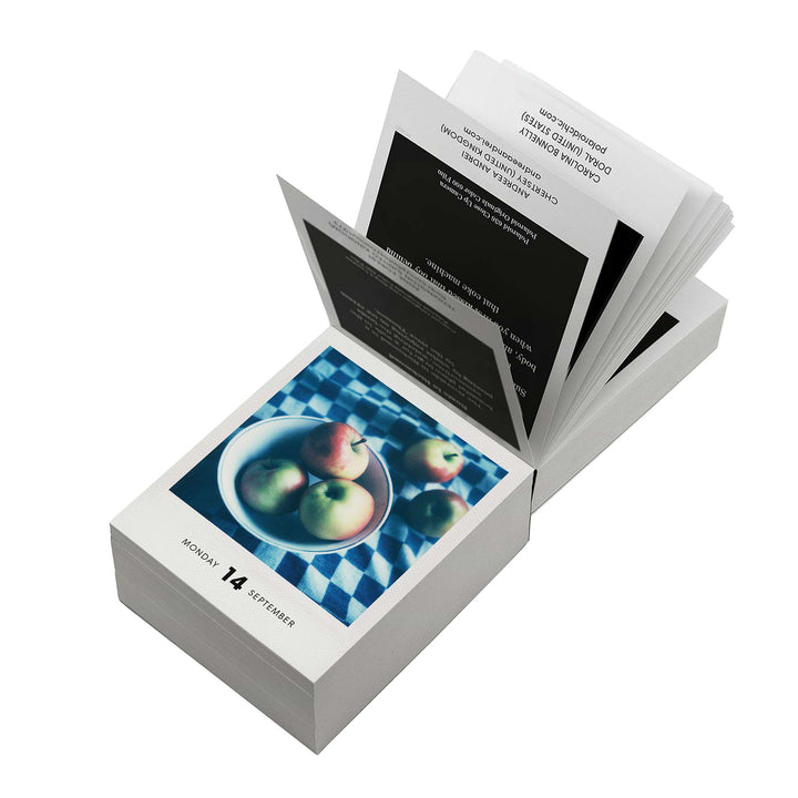 PHOTODARIUM 2026 - Polaroid Tages‑Abreiß-Kalender - 9x11 cm | seltmann+söhne