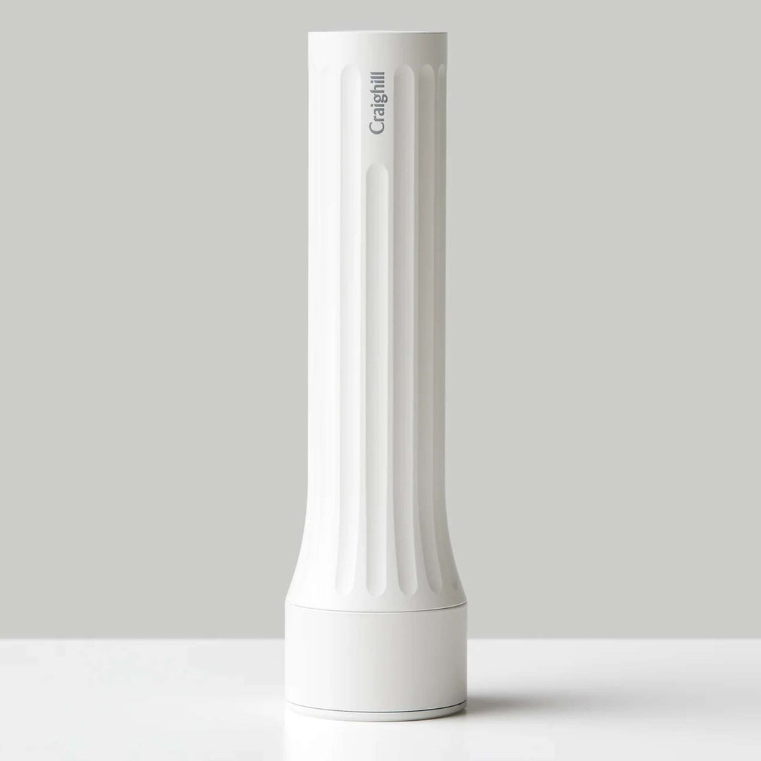 TEMPLE FLASHLIGHT - White Flashlight | Craighill