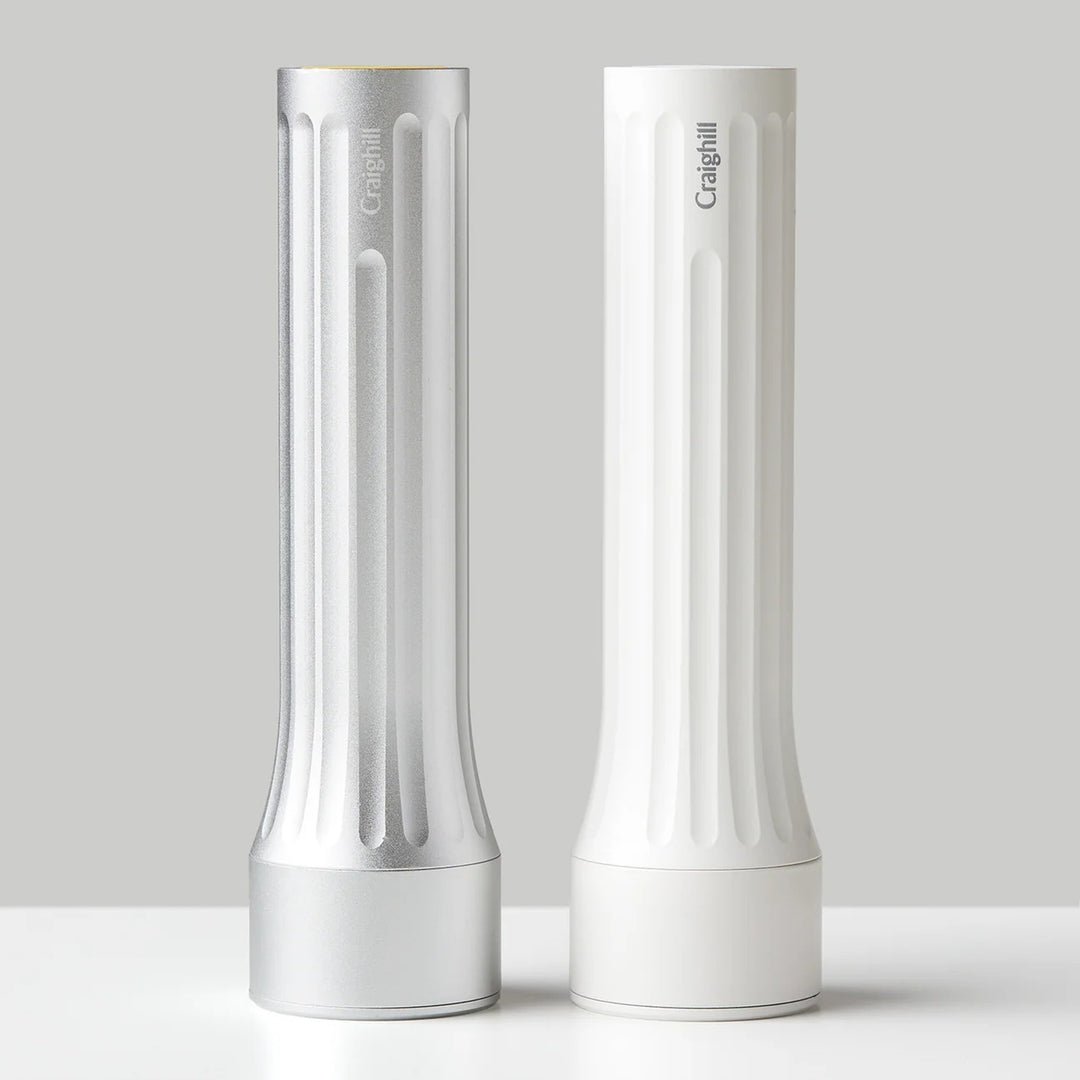 TEMPLE FLASHLIGHT - White Flashlight | Craighill