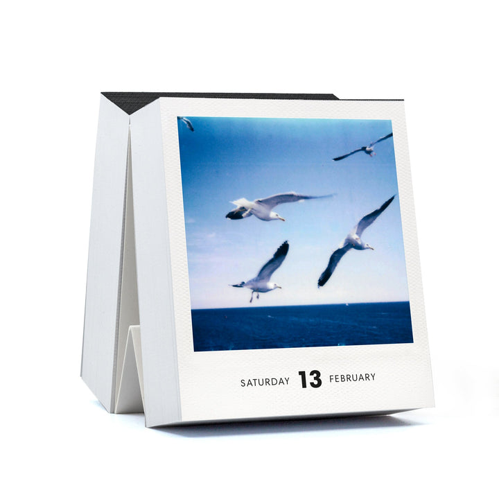 Polaroid-Kalender Photodarium 2027 – 365 Sofortbilder | seltmann+söhne