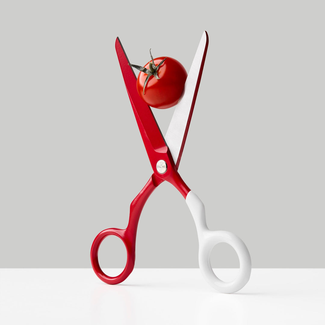 Design Scissors Spectra – Stainless Steel · 16.8 cm | Craighill