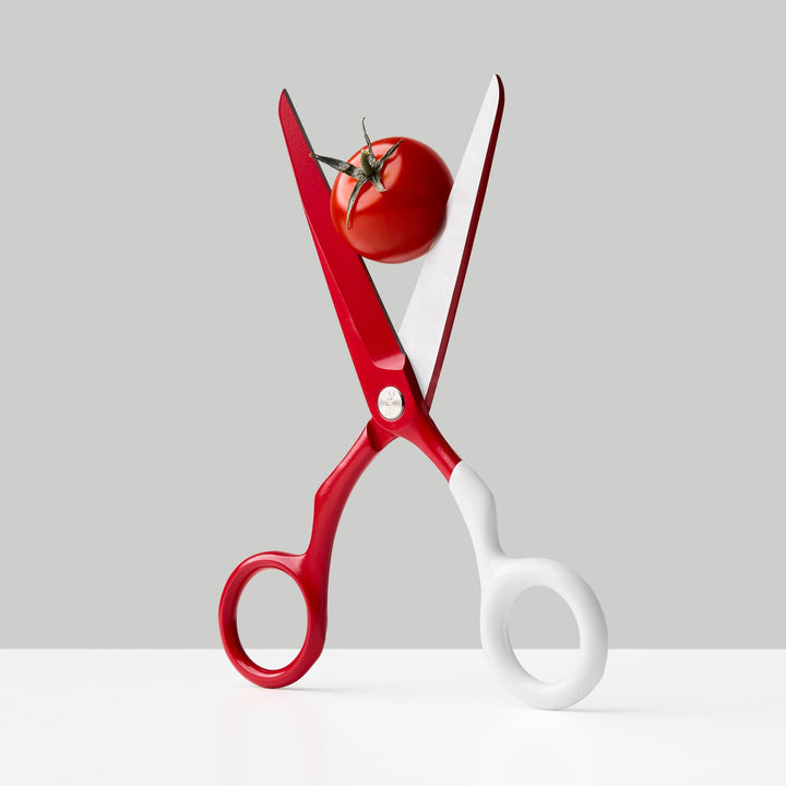 Design Scissors Spectra – Stainless Steel · 16.8 cm | Craighill