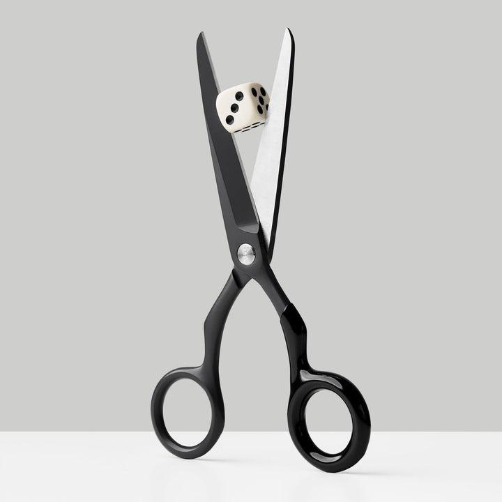 Design Scissors Spectra – Stainless Steel · 16.8 cm | Craighill