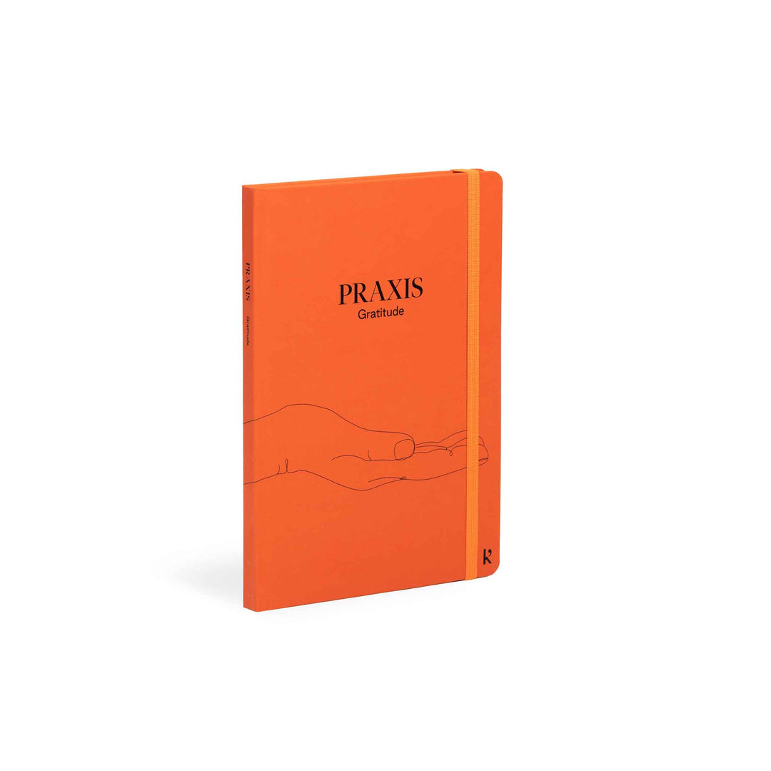 PRAXIS METHOD™️ - 3 englische Tagebücher - Mindfulness, Gratitude & Habits | Karst Stone Paper