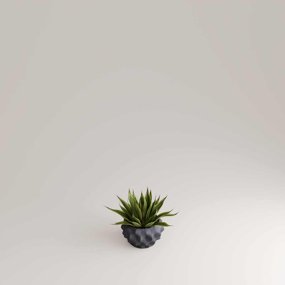 PLISSAN P - Porzellan BLUMENTOPF & PFLANZGEFÄSS - 16 cm ⦰ | Holaria