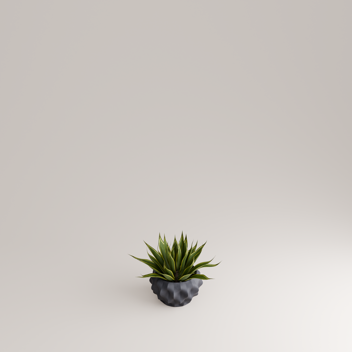 PLISSAN P - Porzellan BLUMENTOPF & PFLANZGEFÄSS - 16 cm ⦰ | Holaria
