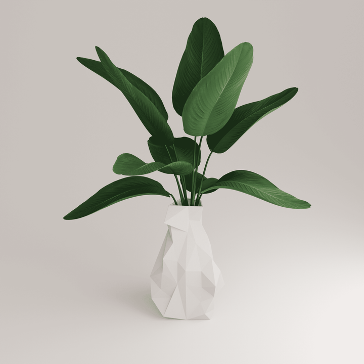 Simplexxa 4 - Porcelain VASE - H=37 cm | Holaria